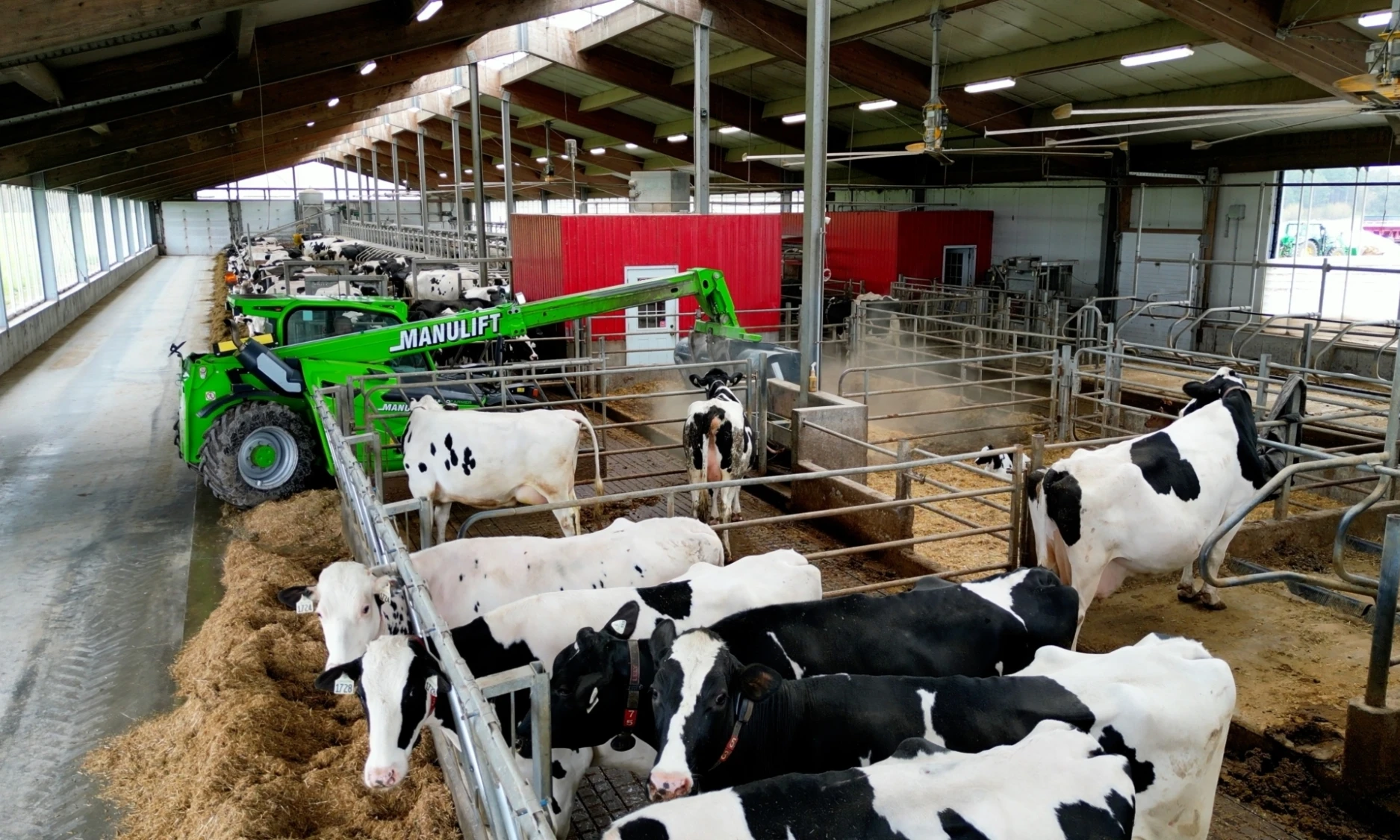 3 LOOS TRACTORVSMERLO BEEDDING FRONTAL 337 D STILL 01