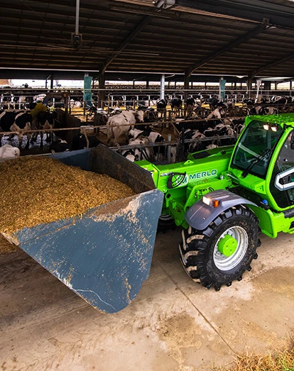 TF65 9 Agriculture Grain Handling Bucket Dairy
