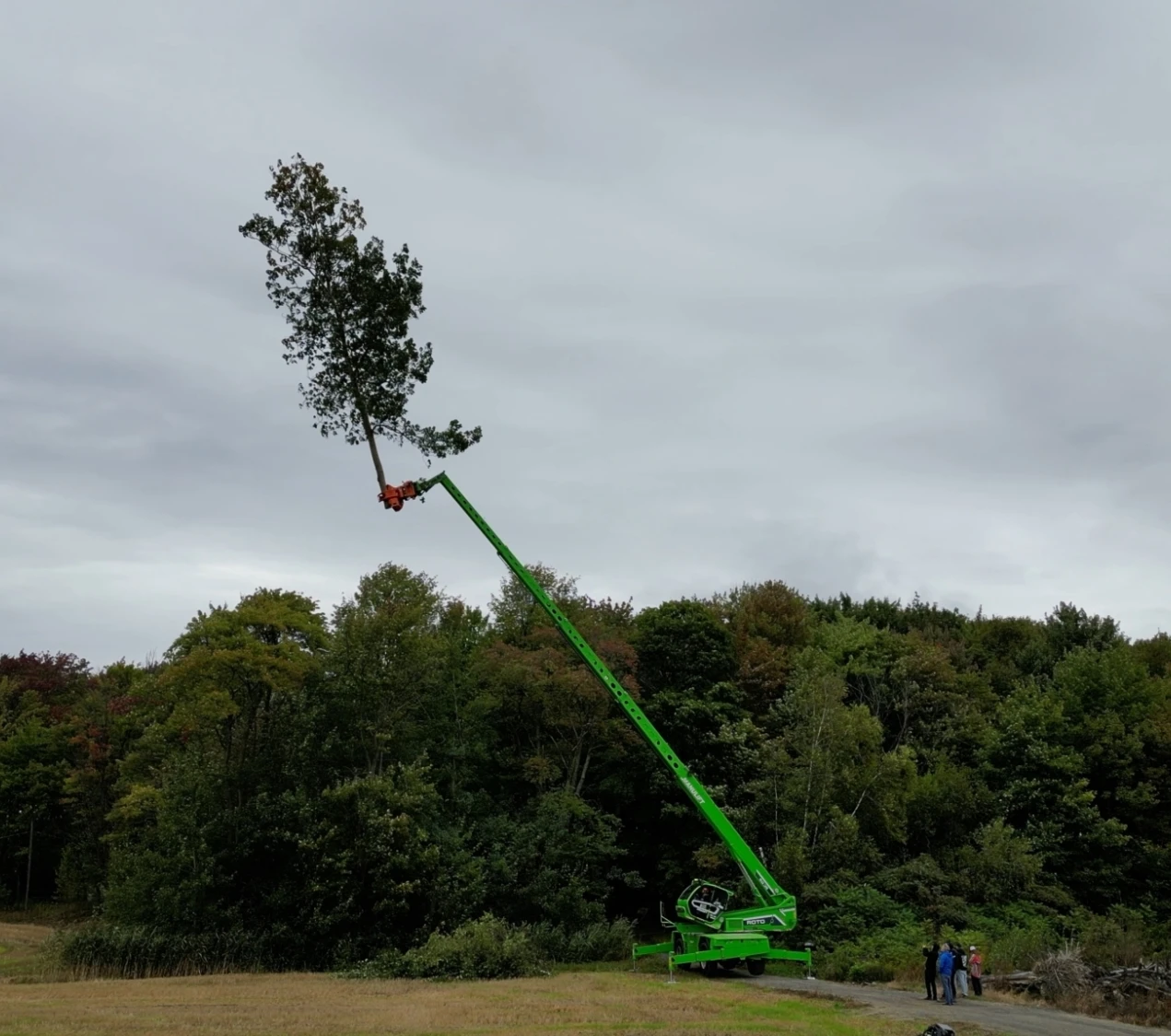 ARBORISTDEMO STILLS 4 K 02