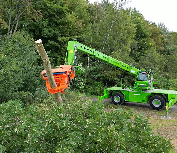 ARBORISTDEMO STILLS 4 K 03 1