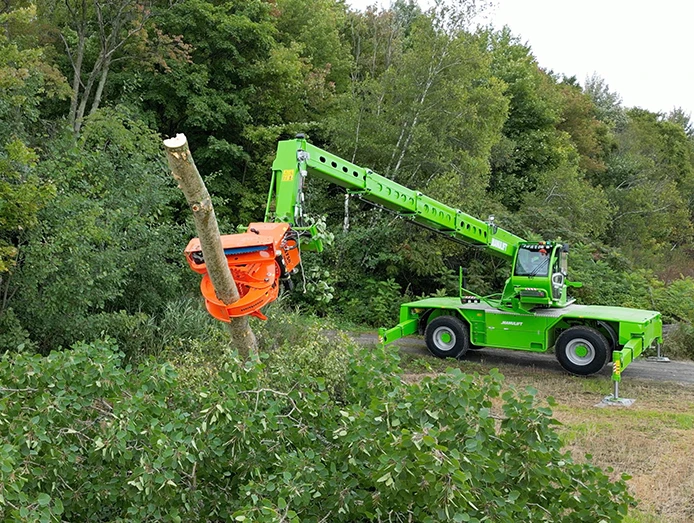 ARBORISTDEMO STILLS 4 K 03 1