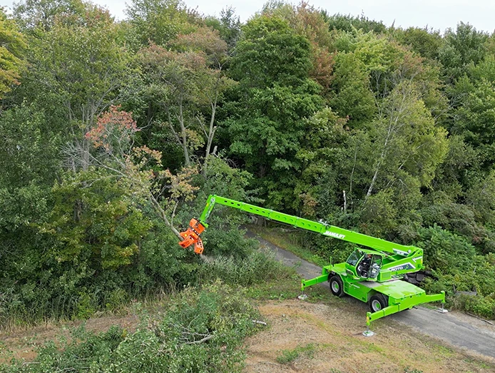 ARBORISTDEMO STILLS 4 K 06