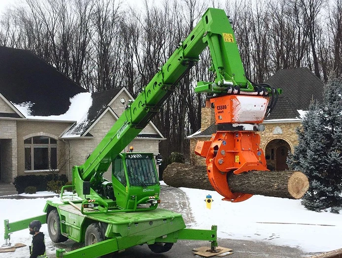 Roto Arborist Green Tree Ontario 4