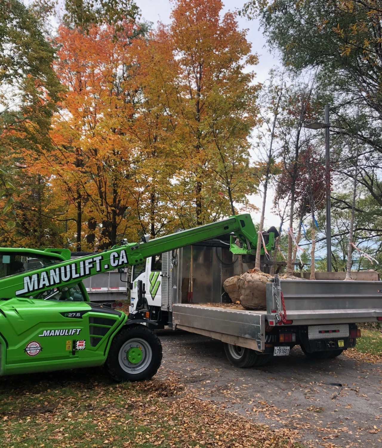 P27 6 Landscaping Loading Forks
