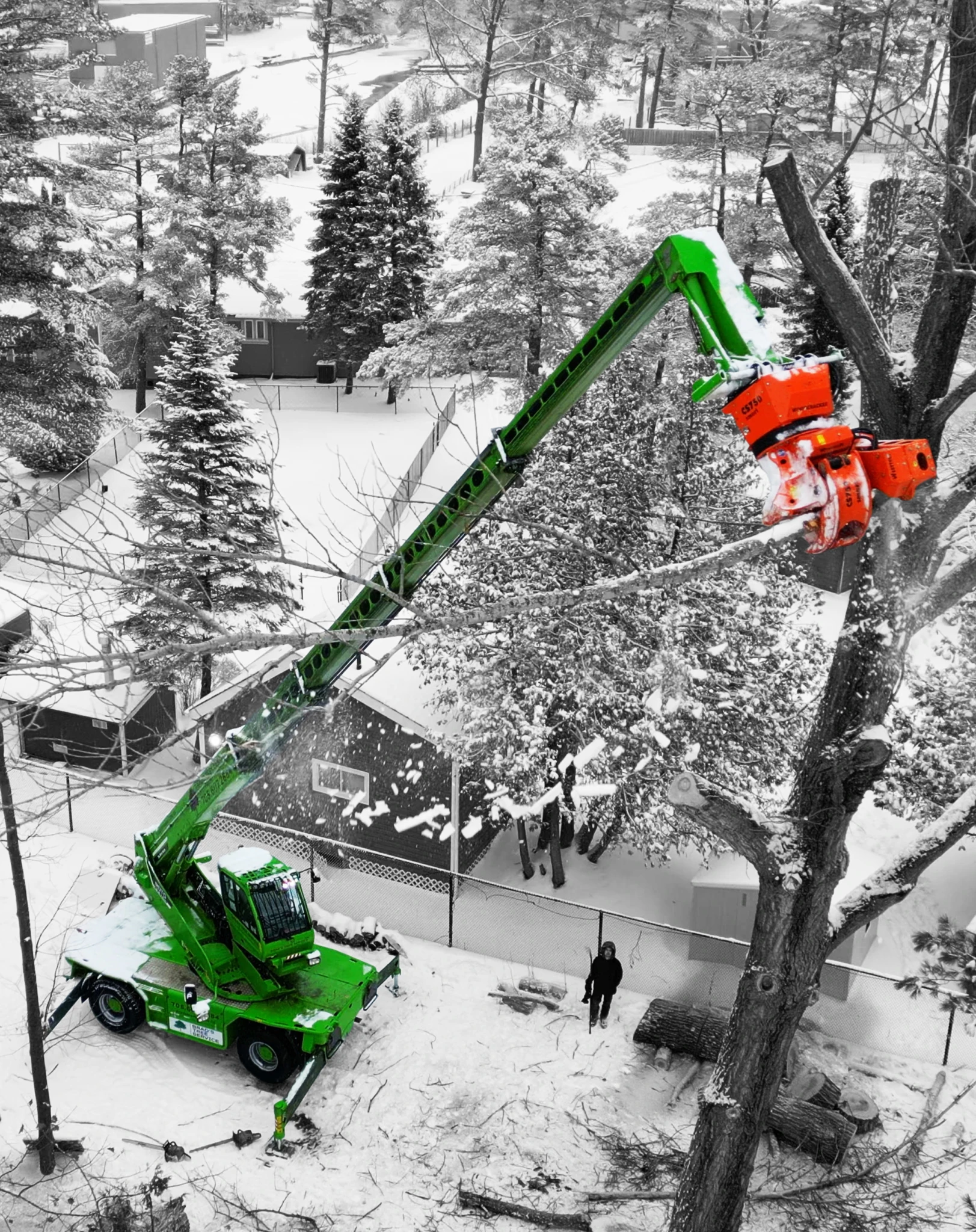 Tuiles Blogue 2064x2604px arborists