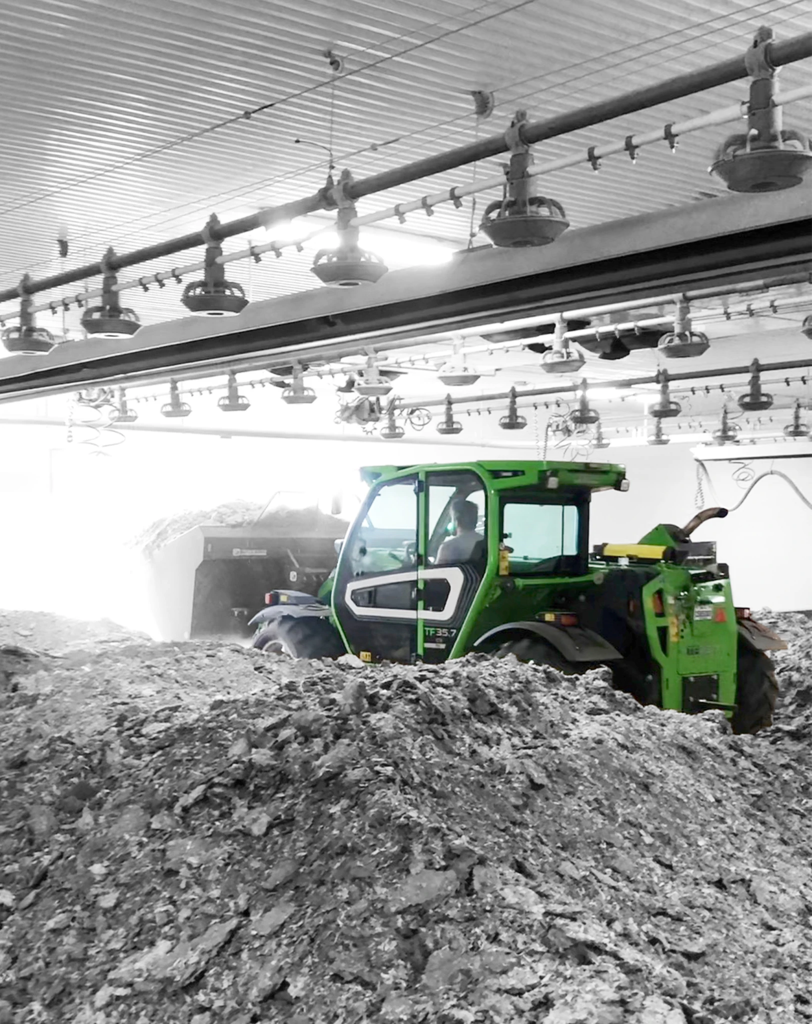 Tuiles Blogue 2064x2604px Poultry