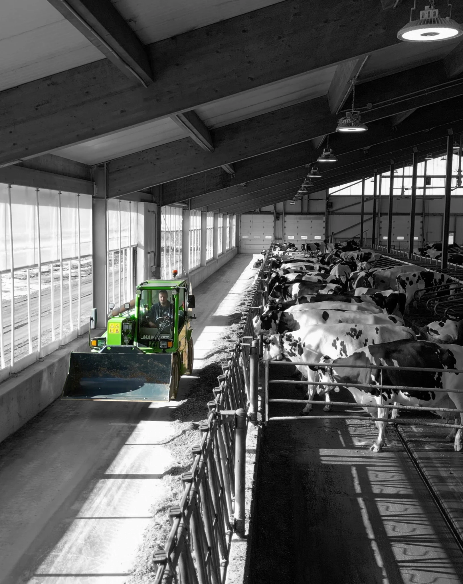 Tuiles Blogue 2064x2604px Dairy