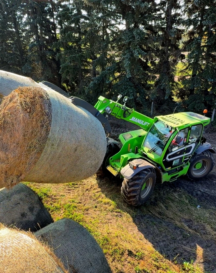 BILAN MF449 STILL BALES SILLAGE 06