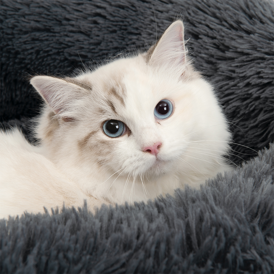 Additional view 2 of Lit pour chat moelleux Catit - Gris foncé