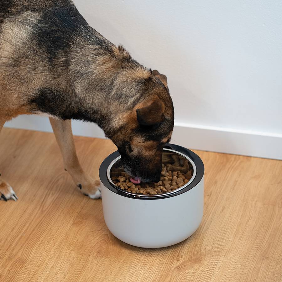 Additional view 1 of Bol lesté Oasis pour nourriture pour chiens - Gris pâle - 1,8 L
