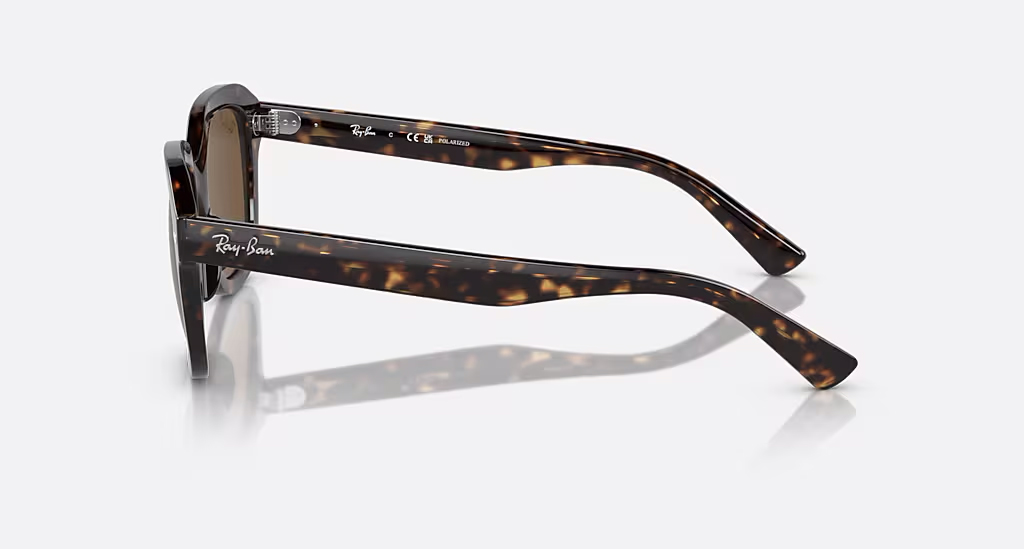 Additional view 2 of Lunettes de soleil polarisées Erik - Unisexe - Havana / Brun