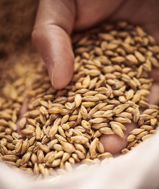 Weyermann Boehmisches Pilsner Malz