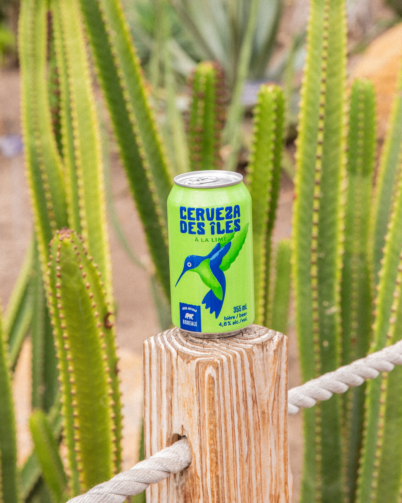 Cerveza 383