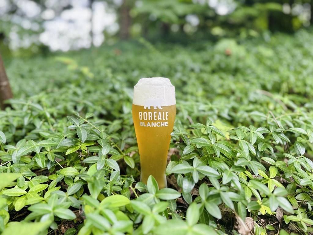 Classique blanche visuel