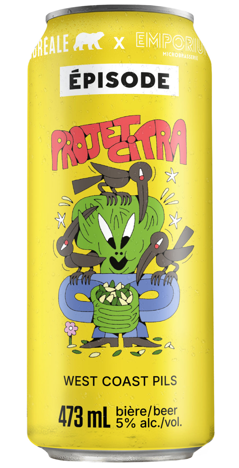 BOREALE 3 D CAN Episode projet Citra emporium copie