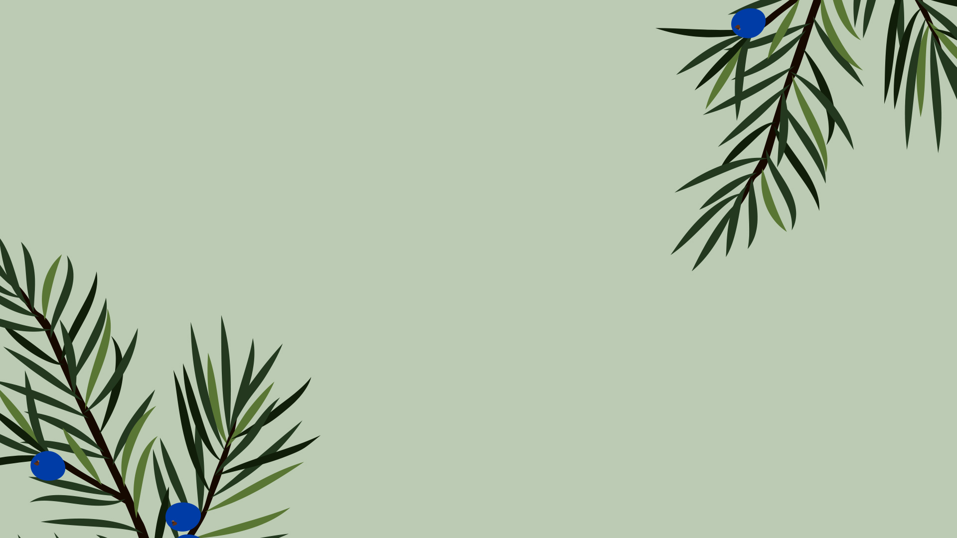 Fond Nature Sauvage 1920x1080 V3