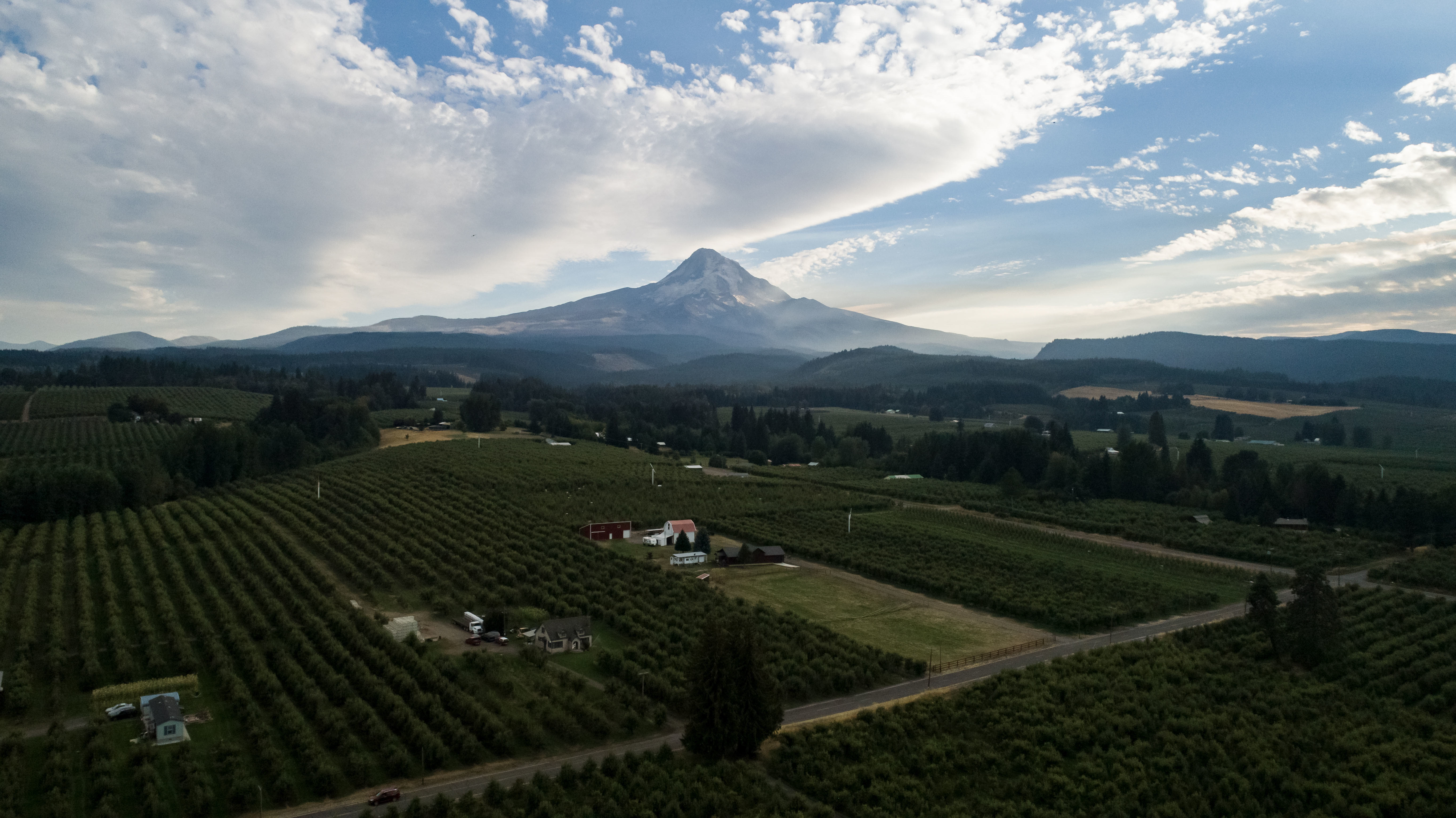 Road trip en Oregon : quand la IPA du Nord-Est nous fait voyager