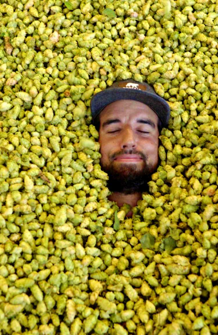 Boreale article blog NEIPA vedette de la scene artisanale