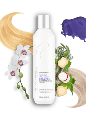 REDAVID Blonde Therapy Shampoo, front label