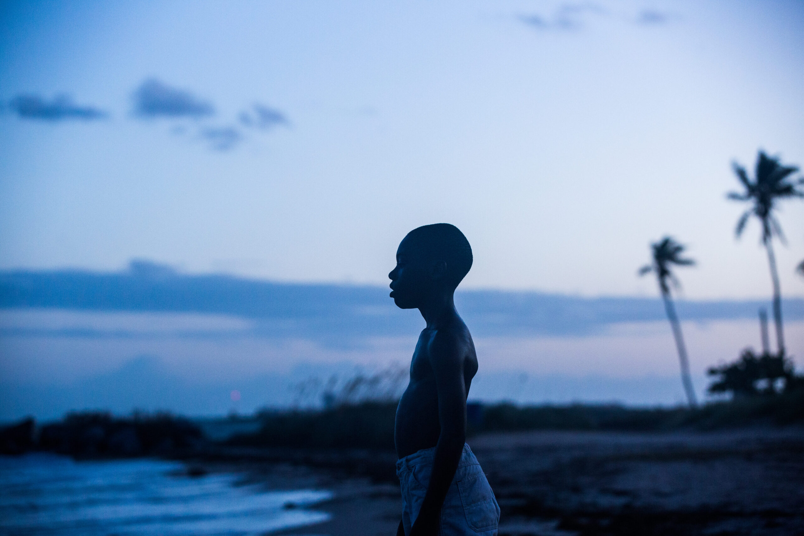 Silhouette of a boy standing on a beach at dusk, with palm trees and a colorful sky in the background, evoking a serene atmosphere.