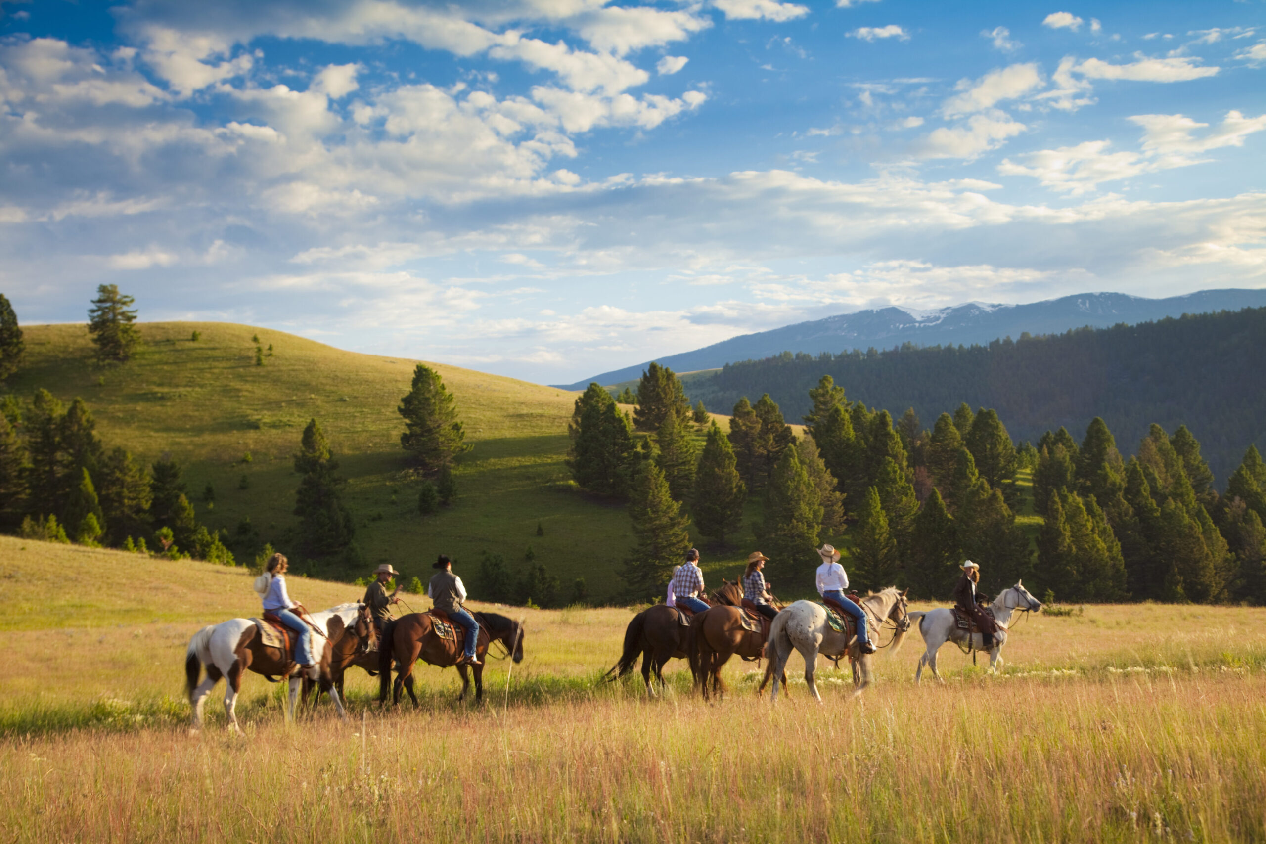 Group of horseback riders traversing a grassy landscape with rolling hills and trees, reflecting the aesthetic of the American West, relevant to lifestyle and travel themes in contemporary fashion.