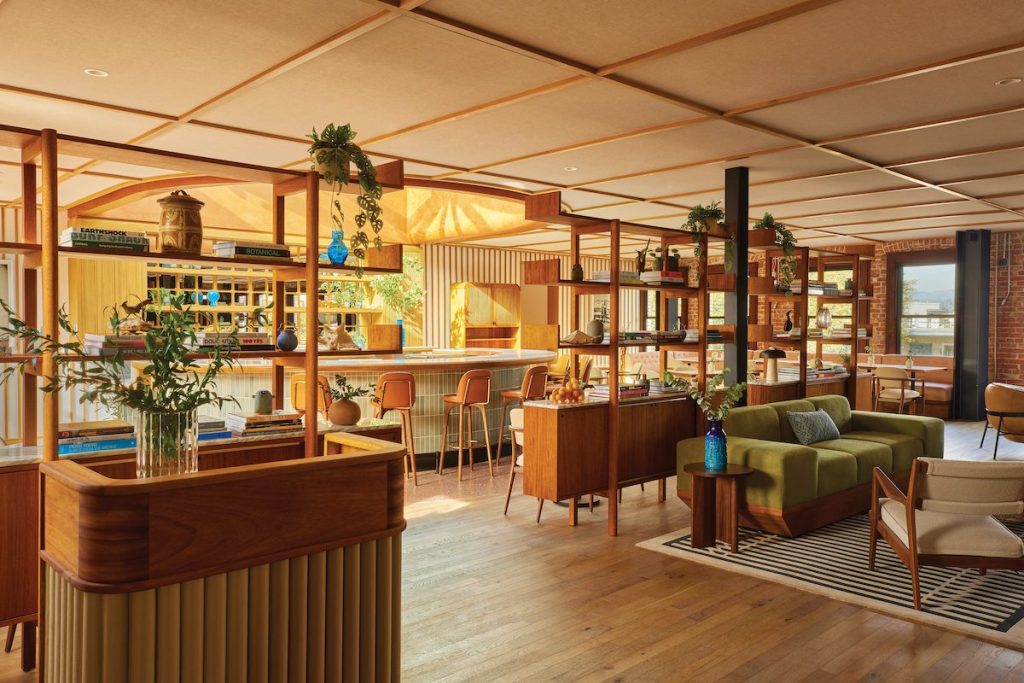 Members club with warm lighting and plants hanging from open wooden shelves.
