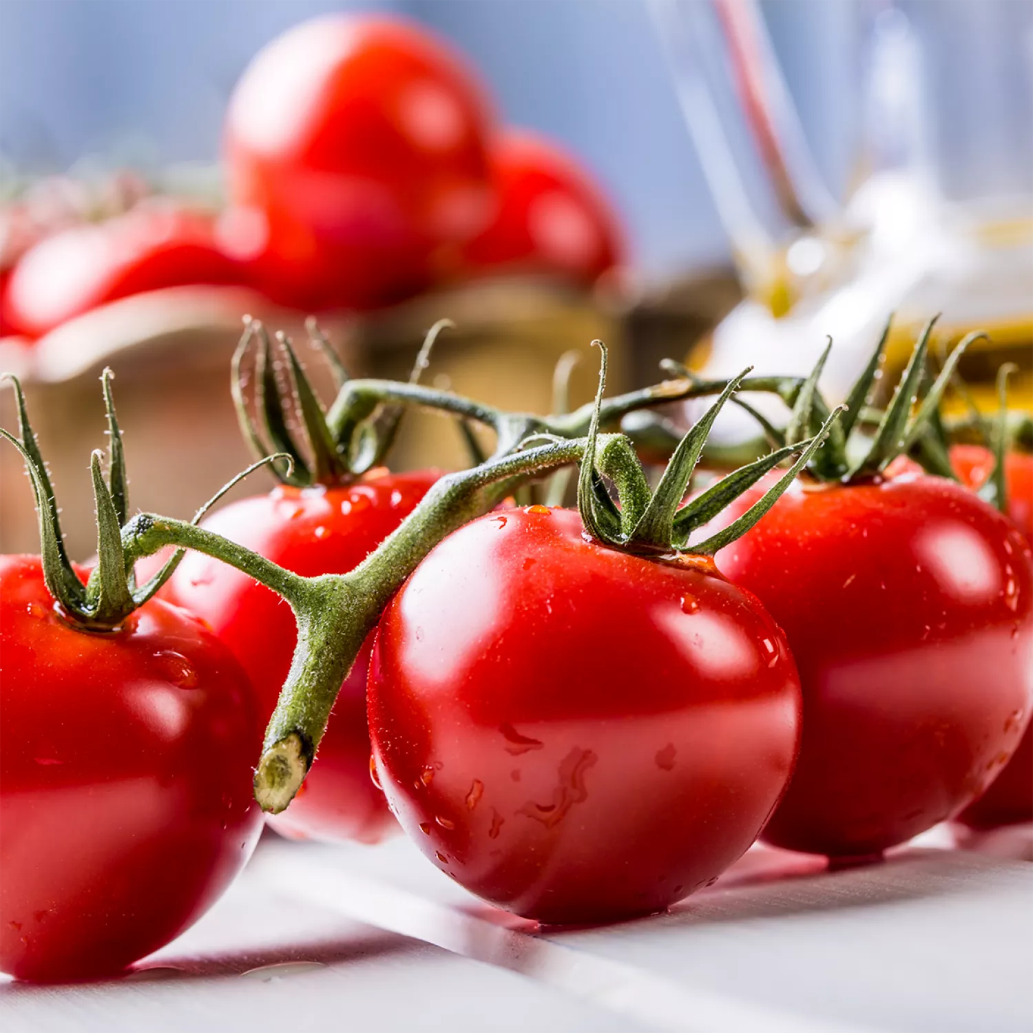 Jus De Tomate Heinz En Spécial Cette Semaine La tomate biologique | QuébecBio