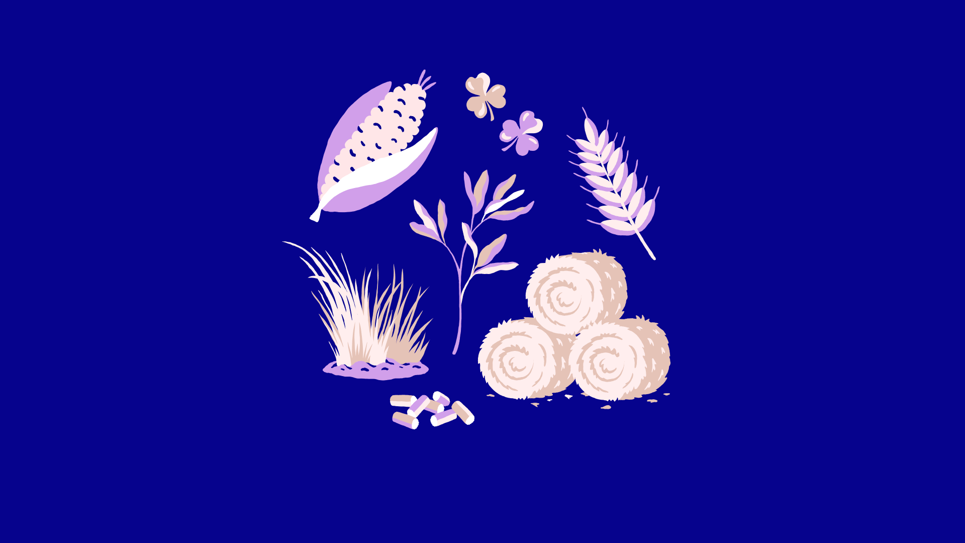 12 FDL Illustration Nourriture