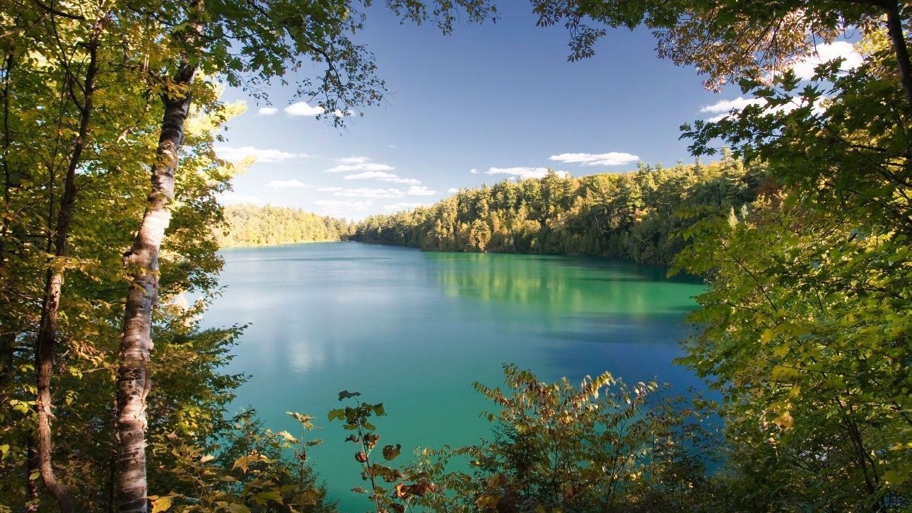 Pink Lake bathed in summer sunlight.