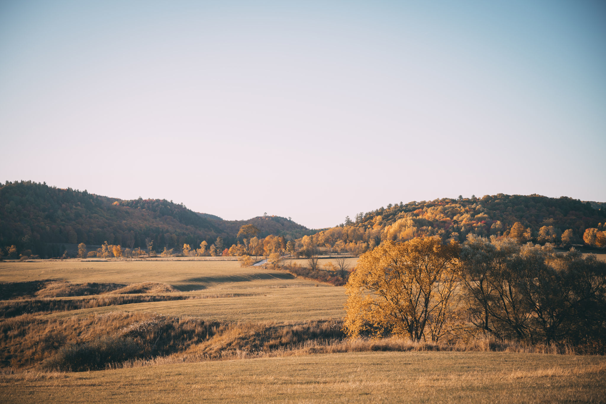 Marche et randonnée pédestre
