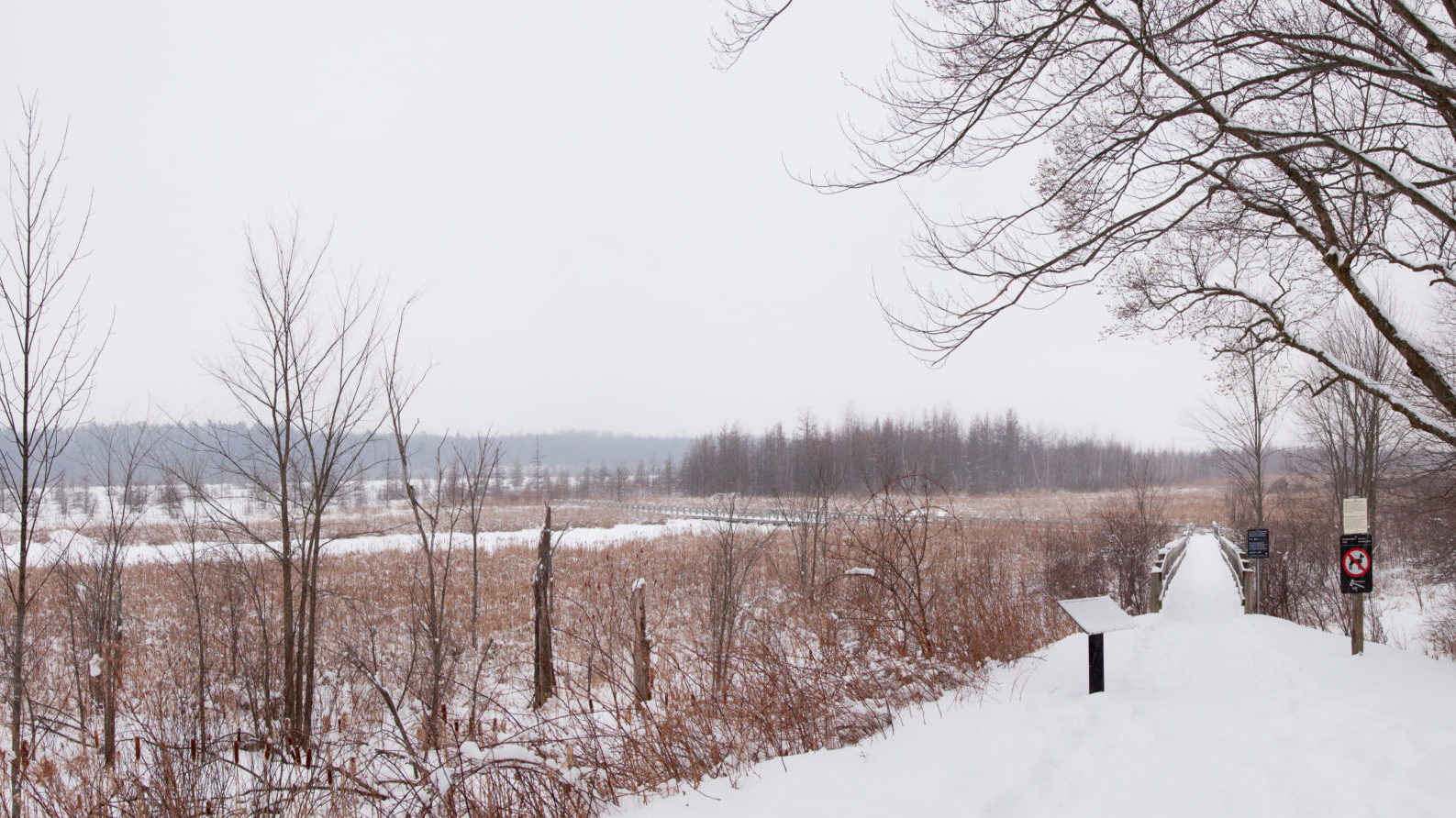 A snow-covered trail in the Greenbelt