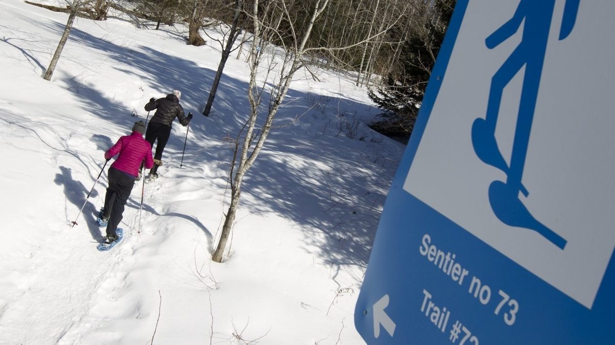Snowshoeing in Gatineau Park National Capital Commission