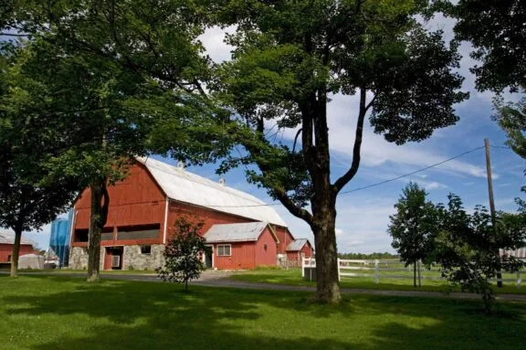 Stratégie en matière d’alimentation et d’agriculture durable