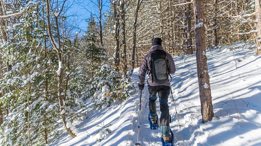Snowshoeing in Gatineau Park National Capital Commission