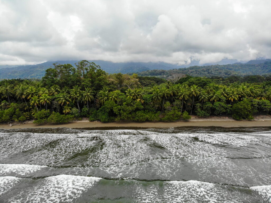 A wide-angle landscape photo of the 4-kilometer sandy shoreline of Playa Uvita, showing different surf zones from Colonia in the south to Punta Uvita in the north.