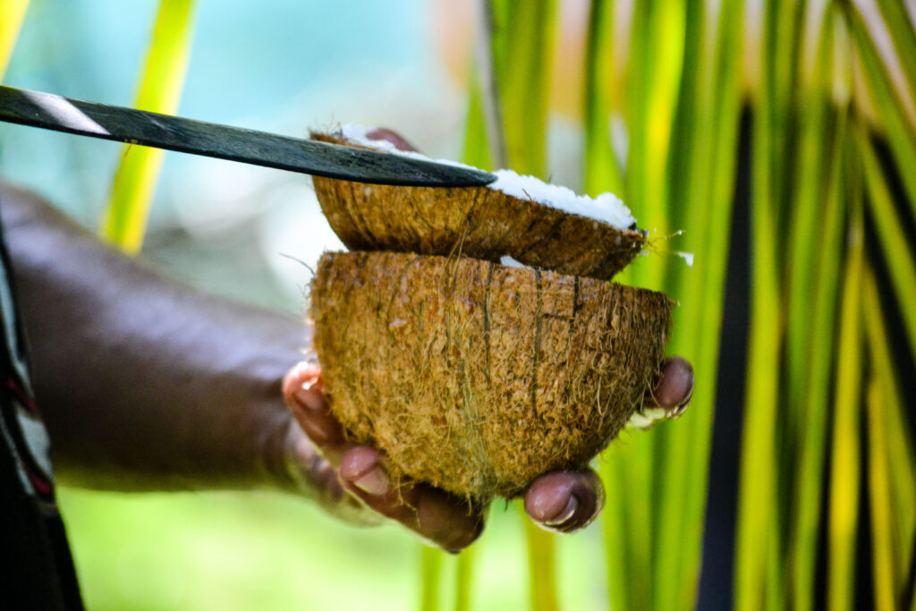 Coconut tour in Uvita, Costa Rica