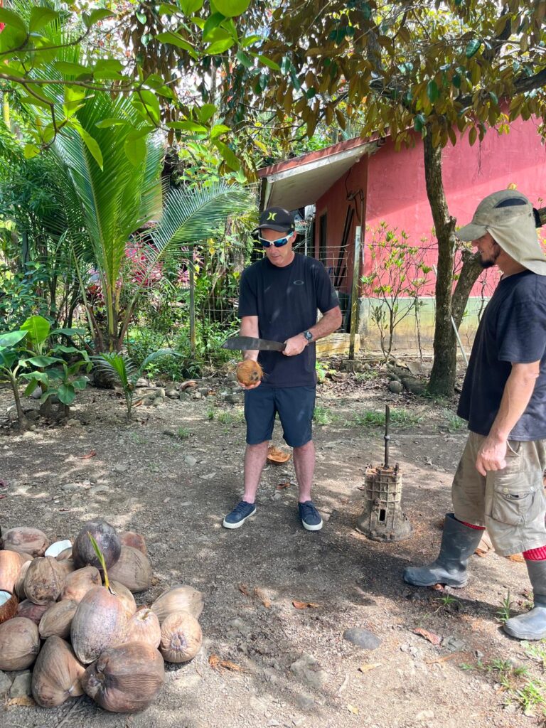 Davíd's coconut tour in Uvita, Osa, Costa Rica