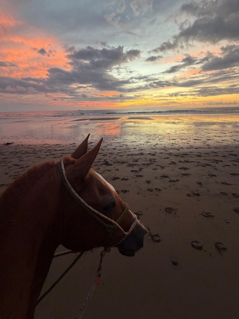 Horseback riding at Rancho La Merced in Uvita, Osa, Costa Rica