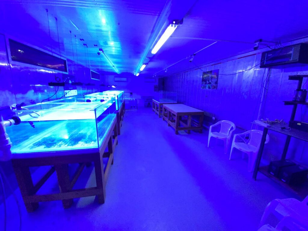 Costa Rica Coral Restoration lab in Uvita, Osa, Costa Rica