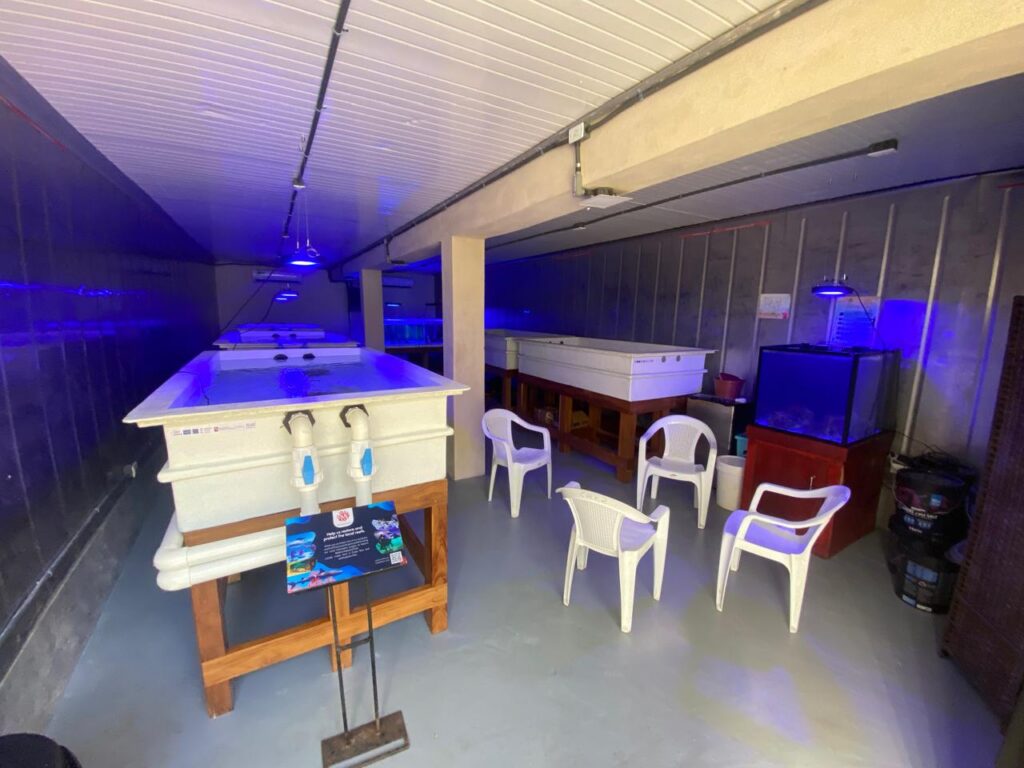 Costa Rica Coral Restoration lab in Uvita, Osa, Costa Rica