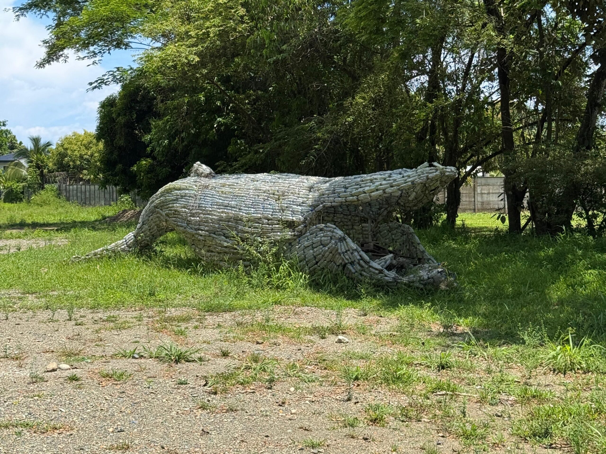 The Bahia Ballena Plastic Whale in Uvita, Osa, Costa Rica