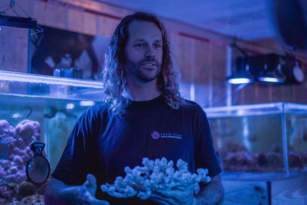 Costa Rica Coral Restoration lab in Uvita, Osa, Costa Rica