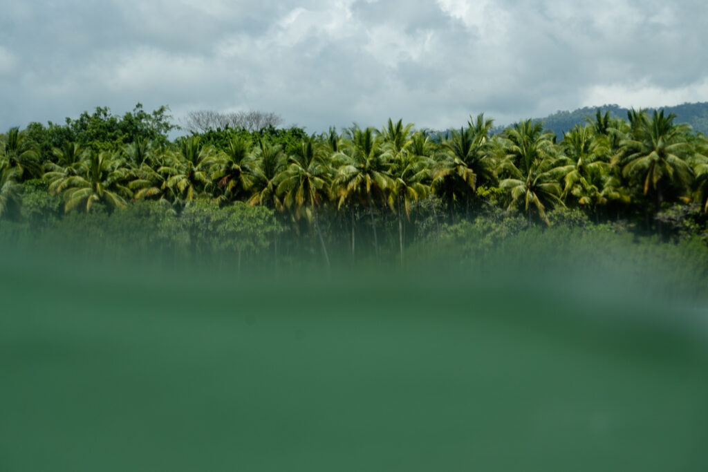 Marino Ballena National Park in Uvita, Osa, Costa Rica