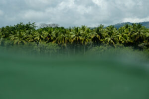 Marino Ballena National Park in Uvita, Osa, Costa Rica