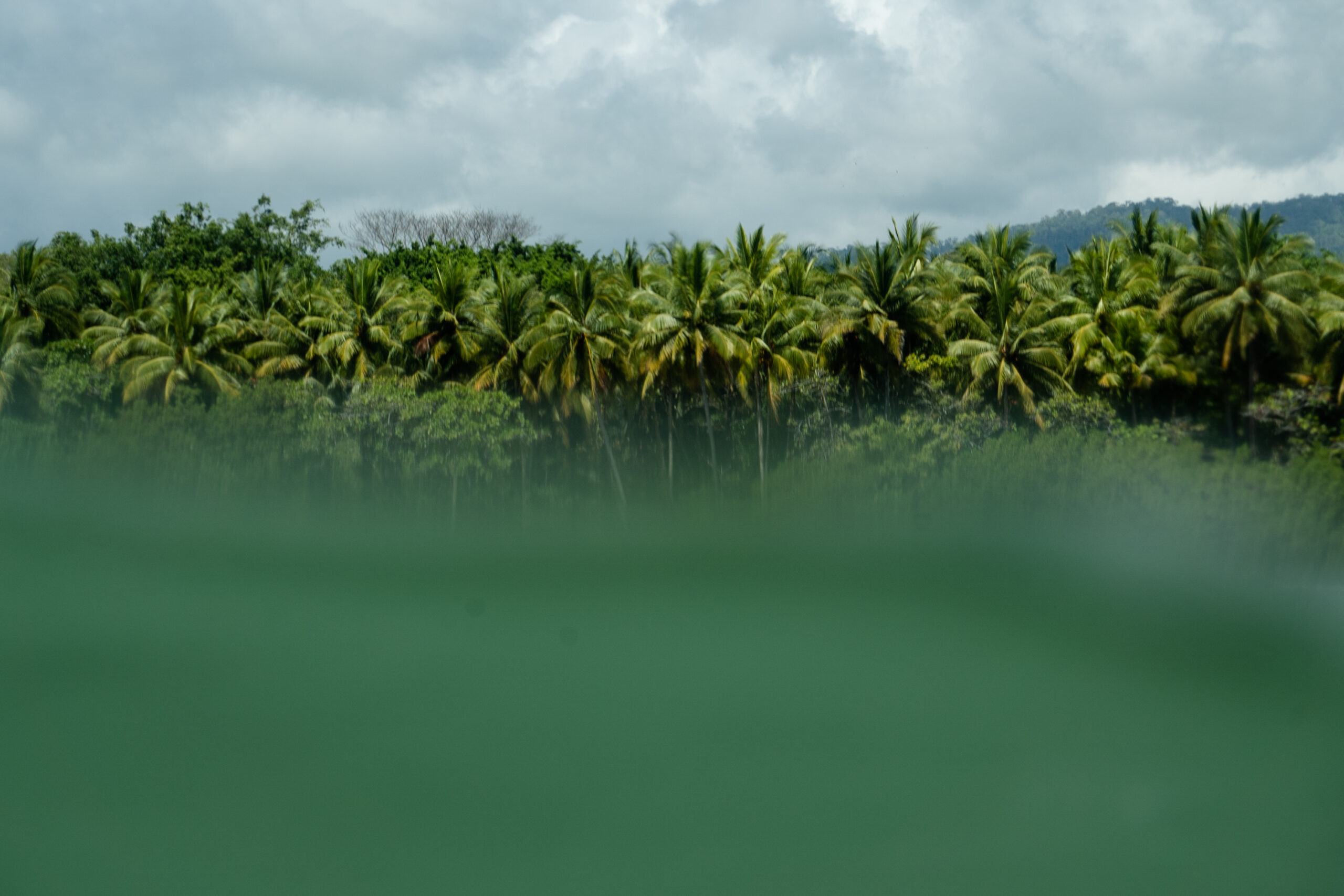 Marino Ballena National Park in Uvita, Osa, Costa Rica