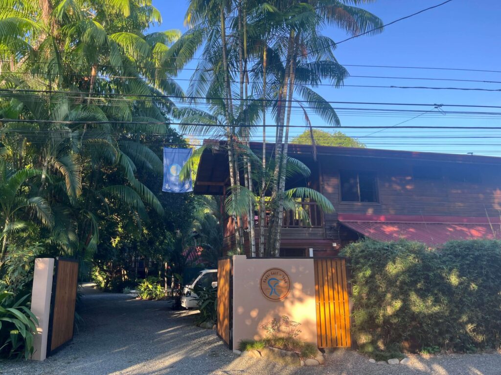 The regeneration of the Bodhi Surf + Yoga property from a stripped plot of land to a thriving jungle ecosystem.