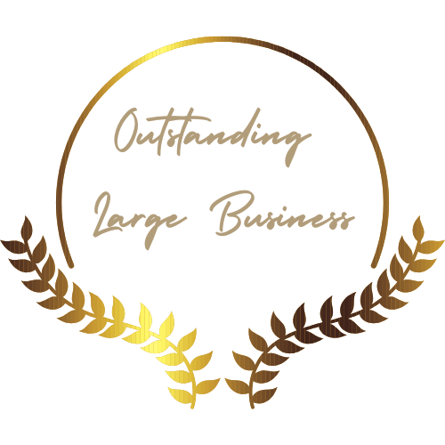 Outstanding Large Business