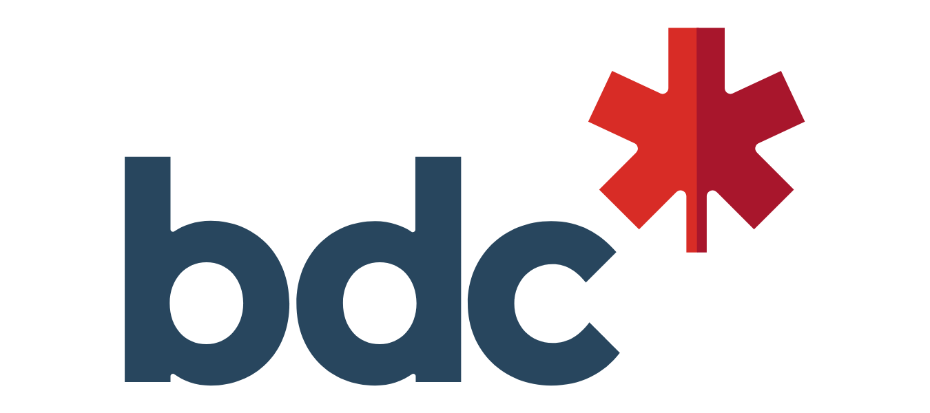 Outstanding Large Business