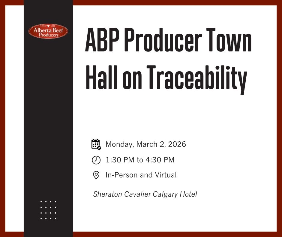 Alberta Beef Producers event poster for a Producer Town Hall on Traceability, in Calgary or virtually, on March 2, 2026
