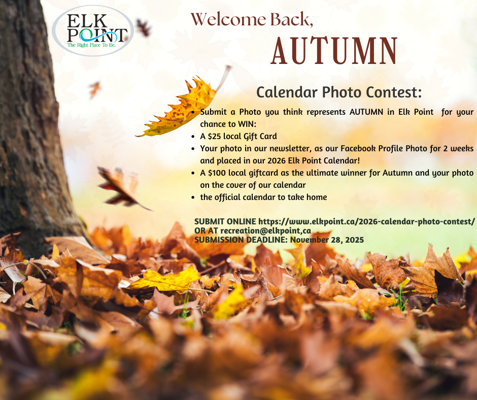 “Winter Fun” (8)